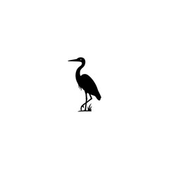 Fototapeta premium The hawk is gathering food. বক পাখি