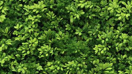 Lush Botanical Tapestry of Stylized Green Leaves and Groundcover from Above.