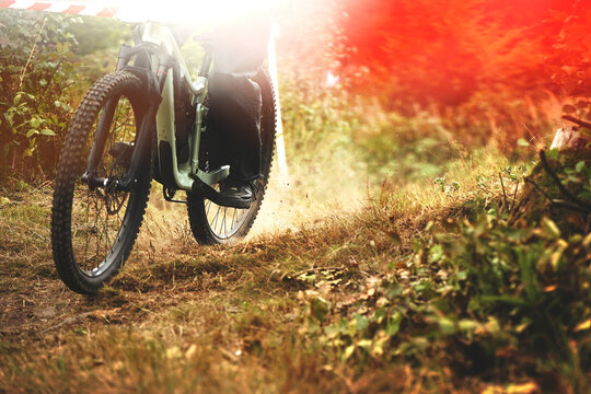Mountain biker riding on forest trail kicking up dust. Dynamic off-road action with warm sunlight and motion blur. Extreme sport and gravity concept.