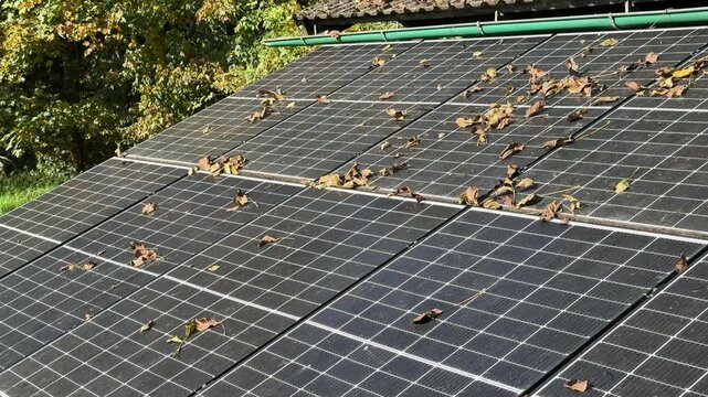 walnut leaves on photovoltaic panels in autumn