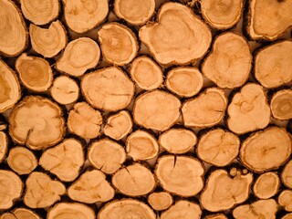 End cuts of natural wood of different diameters and irregular shapes, tightly adjacent to each other.