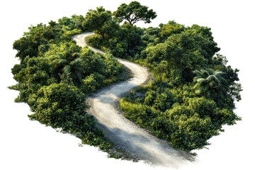 Winding Path Through Lush Green Forest. Nature And Adventure Concept Isolated On Transparent Background