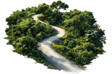 Winding Path Through Lush Green Forest. Nature And Adventure Concept Isolated On Transparent Background