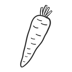 Simple Hand-Drawn Carrot Illustration