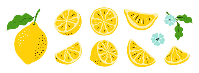 Lemon Vector Set. Hand-Drawn Citrus Slices and Leaves. Colorful sketch illustration of fruits