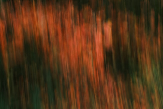 The image is a blurry, abstract painting of a forest with trees and leaves