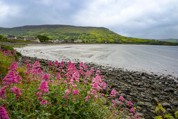 Landschaft / Küste am Atlantik in Nordirland