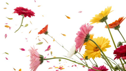 Flying colorful fresh flowers falling in the air cut out on PNG. AI GENERATED.
