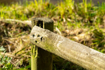 Weathered wooden fence post standing in green grass