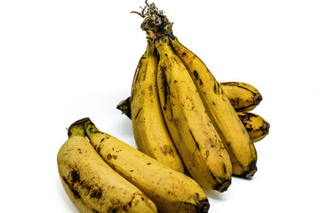 Ripe Tropical Bananas Isolated on White Background