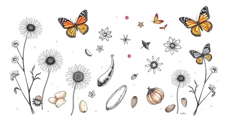 butterflies and flowers scatch 