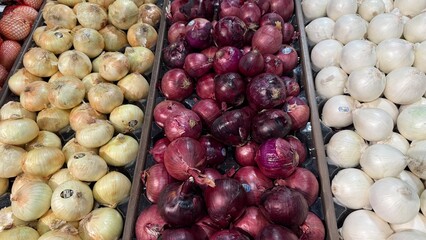 Multiple Colors of Onions Fresh Fruits and Vegetables at Grocery Store