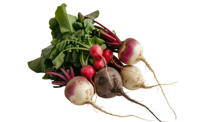 A vibrant display of freshly harvested radishes and turnips on a transparent background