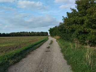 Gravel Path Through the Countryside