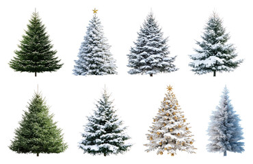 Fototapeta premium PNG Variety of snowy Christmas trees, element set on transparent background
