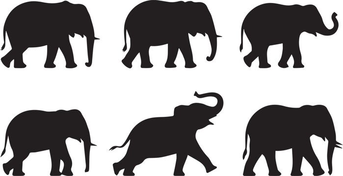 minimal elephant silhouette pack vector icons for branding and learning