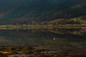 Tranquil waters of Loch Sunart, Scottish Highlands, on a peaceful day