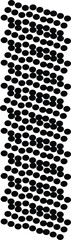 Black Dots Illustration