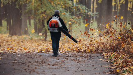 Removing fallen autumn leaves in the park with electric cordless air blower, process of blowing, raking and cleaning area from yellow leaves, regular seasonal work garden tools and modern equipment