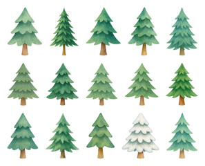 Fototapeta premium PNG Watercolor evergreen trees collection, element set on transparent background