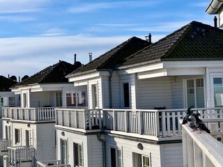 A photo of beach houses and pigeons on the balcony in Olpenitz, Germany