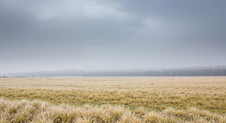 Wide empty field with dry pale grass under heavy grey sky  