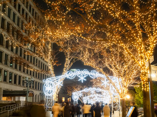 中之島・イルミネーション