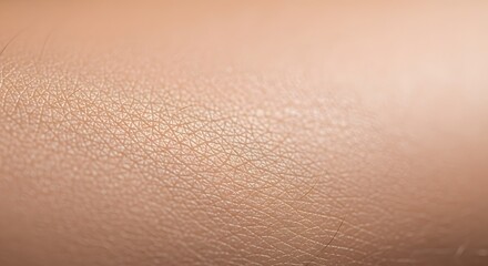 Close-up of human skin showing texture and pores in detail, with a smooth, healthy appearance.