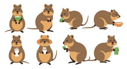 Cute cartoon quokka characters in various poses, some standing, eating food, and holding coffee or drinks.