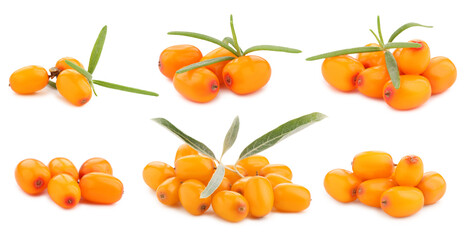 Sea buckthorn berries and green leaves isolated on white, set
