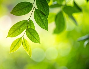Natural green leaves plants using as spring ans summer background cover page, ecology wallpaper