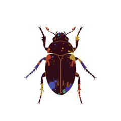 Colorful Beetle Illustration on White Background.