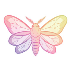 Rainbow Moth Illustration.