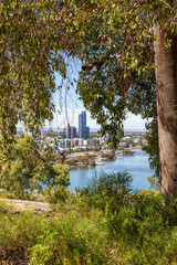 The city of Perth and the Swan River viewed from Kings Park and Botanic Garden, Perth, Western Australia, WA, Australia