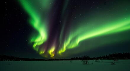 Northern Lights Aurora Borealis Glowing in Arctic Night Sky