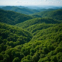 Obraz premium Ensi City Hubei Province hills are covered by dense green vegetation with rocky outcrops providing textural contrast.