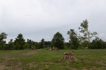 Tornado damage in Forest Park, St. Louis, Missouri after May 16, 2025 tornado