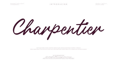 Signature Font Calligraphy Logotype Script Font Type Font lettering handwritten.