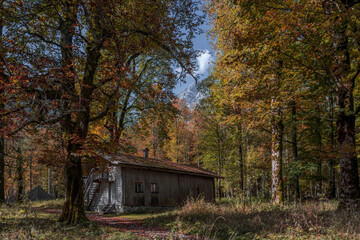 Rustic Cabin in Autumn Forest &mdash; Peaceful Mountain Retreat Surrounded by Vibrant Fall Colors and Natural Tranquility