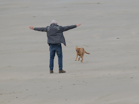 Happy Senior Man Playing with Dog on the Beach — Joyful Human Animal Connection and Freedom in Nature Outdoors Scene