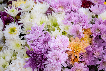 a bouquet of bright, colorful chrysanthemums
