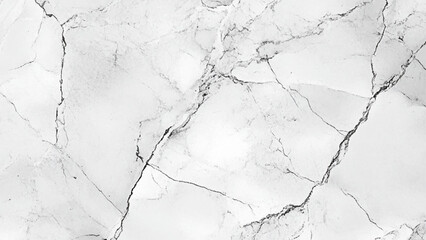 Elegant Stone Surface with Black Veining White Marble