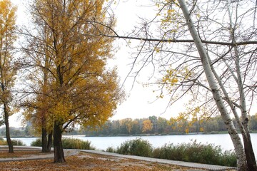 Fototapeta premium autumn landscape lake in the autumn