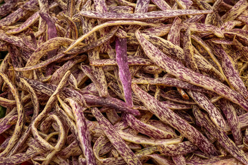 Close-up of fresh Borlotti beans (cranberry beans) with natural purple and cream speckled pods. Organic legume background symbolizing healthy eating, harvest, and sustainable agriculture.