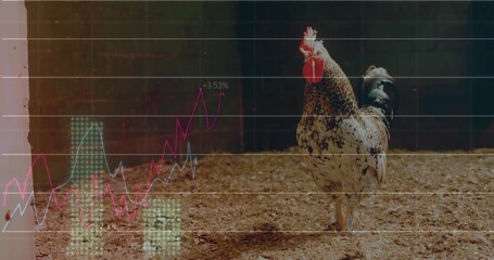 Speckled rooster watching scan lines sliding initiating chart overlays visualizing market trends - Powered by Adobe