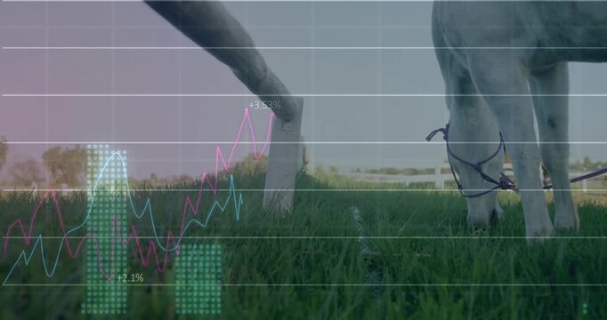 Grid overlay fading in bringing graphs updating percentages beside grazing horse showcasing trends