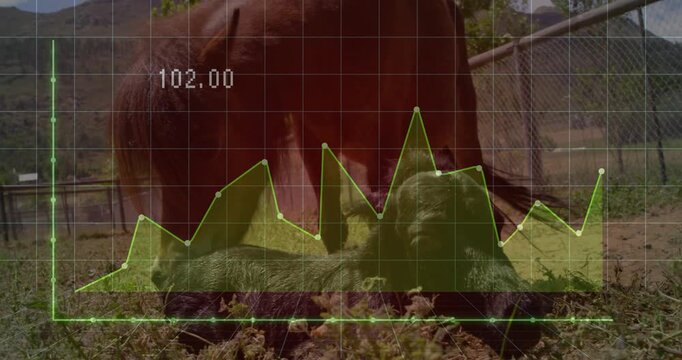 Brown mare sniffing and licking foal coat urging twitching pushing with green line chart overlay