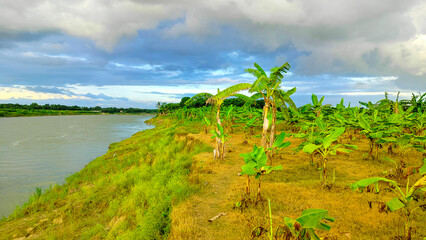 Stunning River Landscape with Green and Golden Nature in the Afternoon