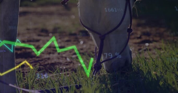 Horse lowering head to graze animating line graphs rising and falling visualizing grazing metrics