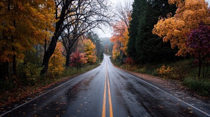 Fototapeta premium Vibrant Autumn Road Winding Through Colorful Forest on a Misty, Wet Day